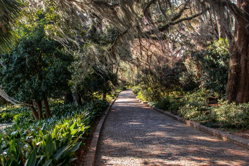Road Trips from Midway, FL: Exploring Nearby Hidden Gems and Scenic Routes